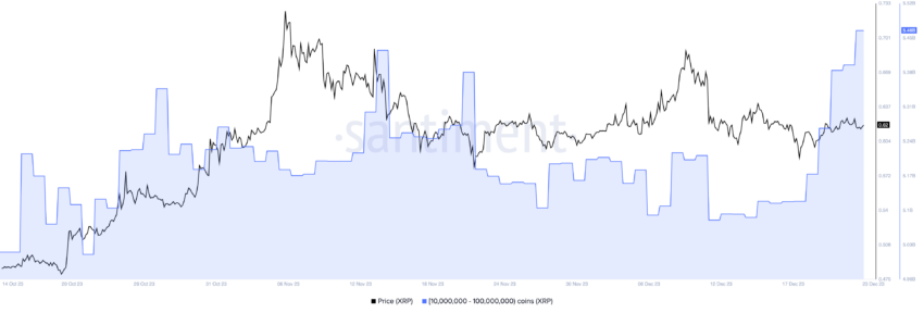 Whales Accumulate XRP