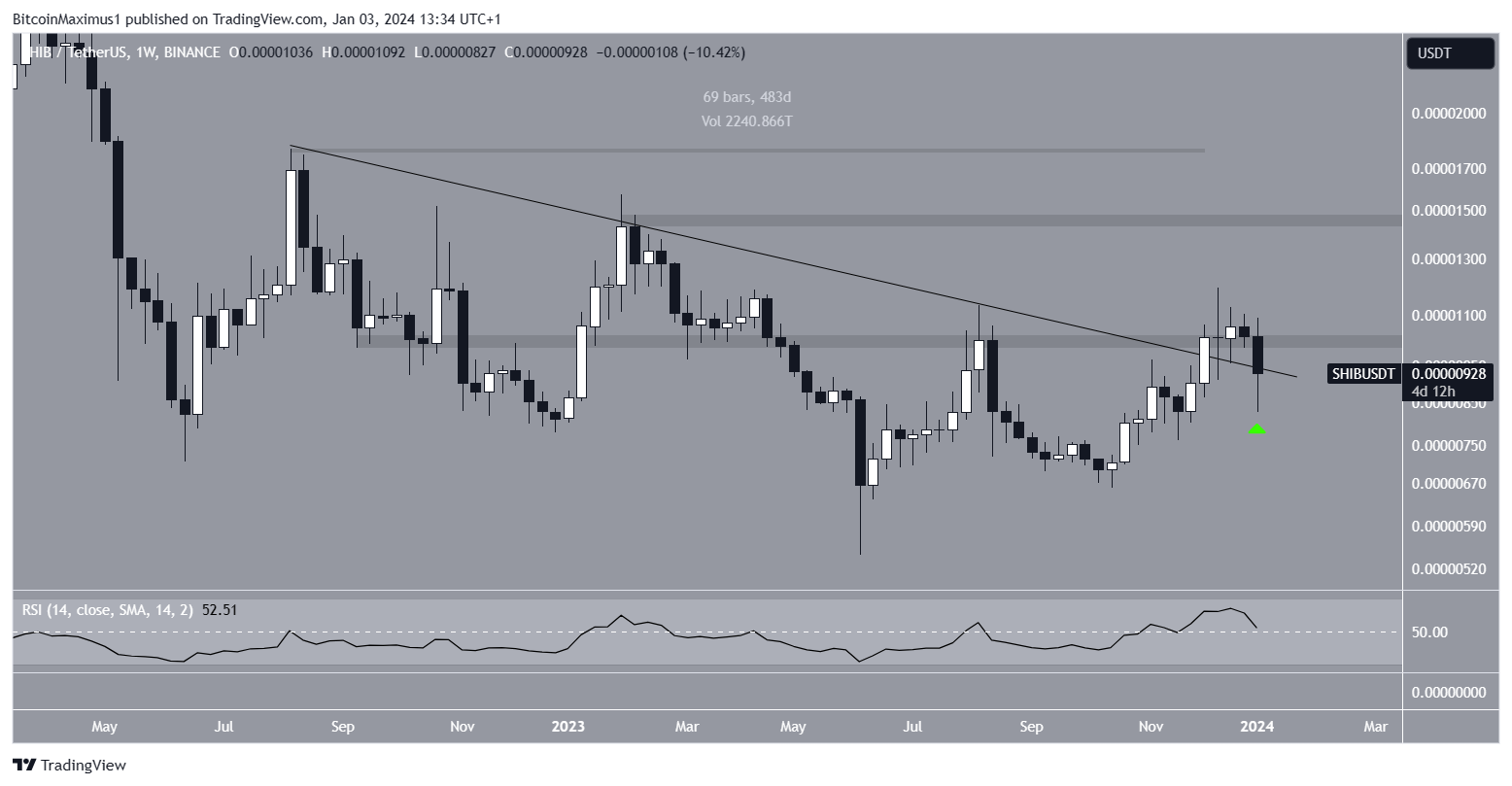 Shiba Inu (SHIB) Price Movement