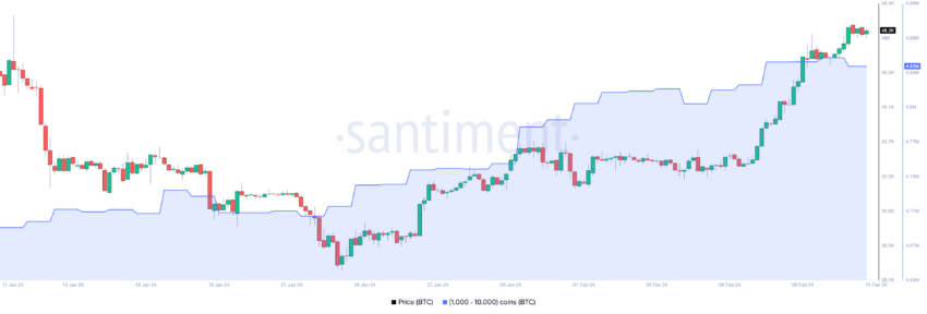 Bitcoin Whales Accumulation Pattern