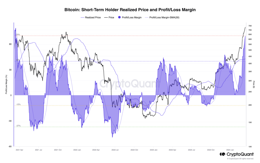 Short-Term Holder Profit Margin