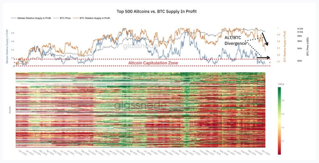Only ~5% of altcoins are in profit