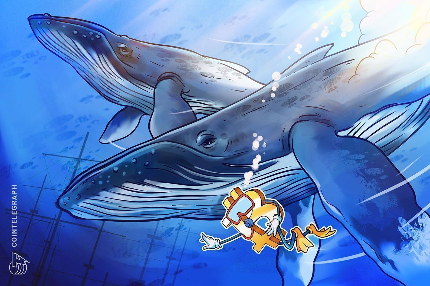 New Bitcoin whales are rewriting BTC’s market structure: Data