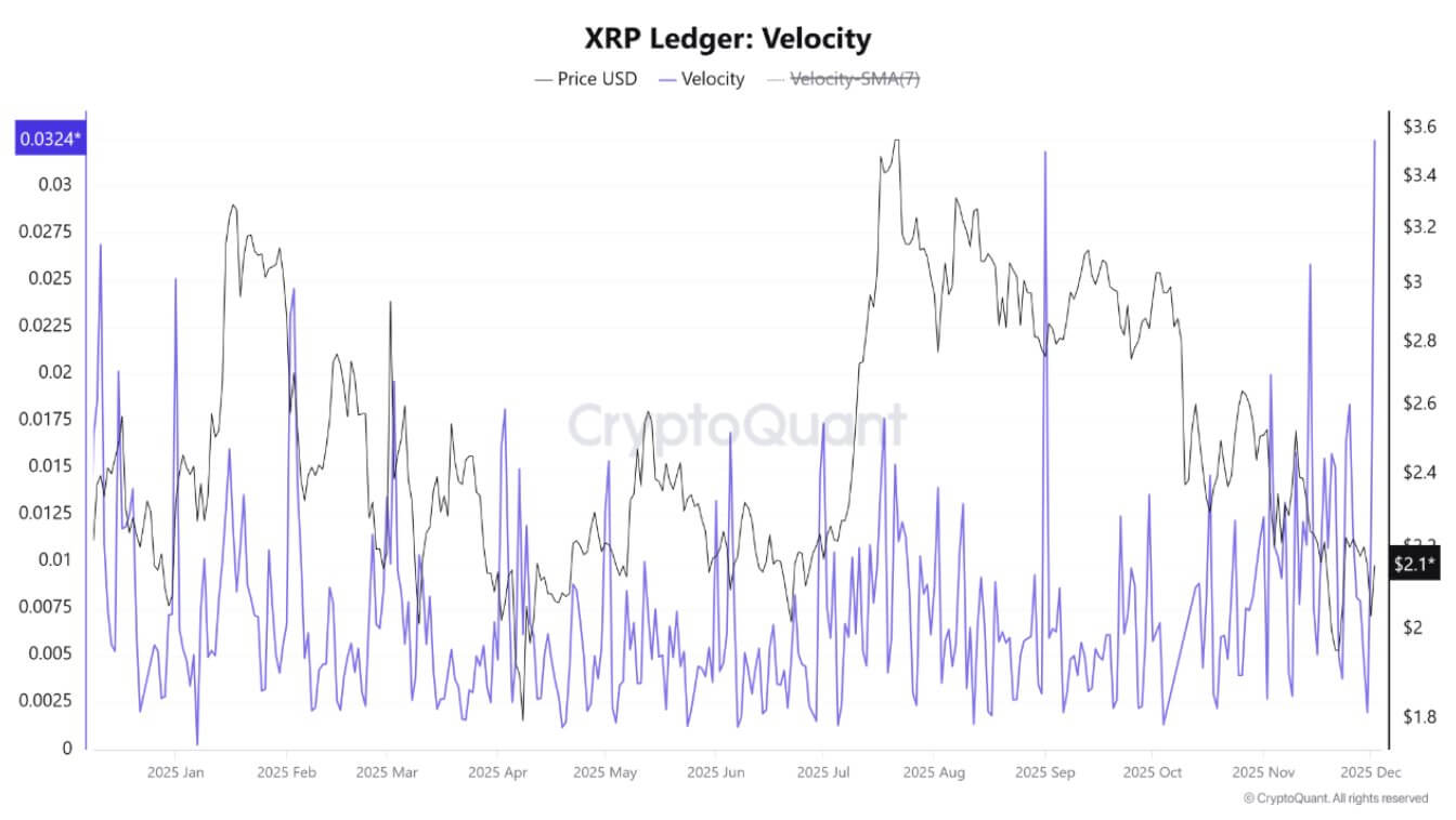 XRP Ledger Velocity