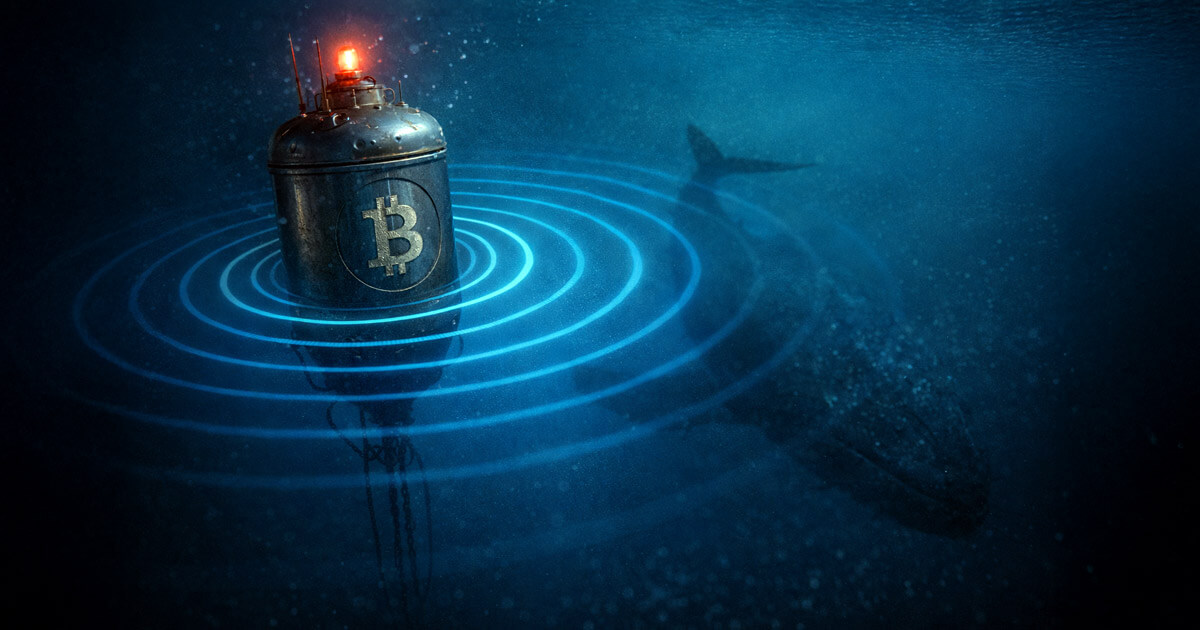 Bitcoin whale