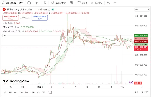 Shiba Inu, Pepe Coin: Meme tokens struggle for direction as traders seek utility solutions - 1