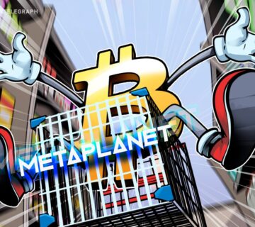 019c31b5 7e1e 7845 a3ea 1c6850631964 1 360x320