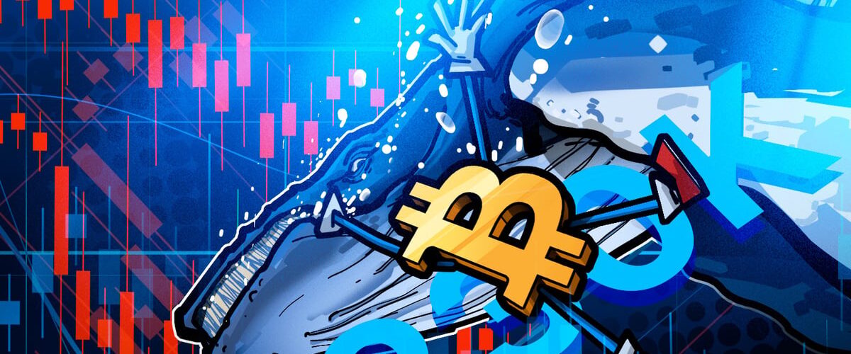 019c7bbb f454 7809 953e dd3a32234fa7 1200x500