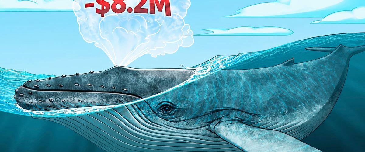 019c9906 d70b 7e86 be75 9d160c34622e 1200x500