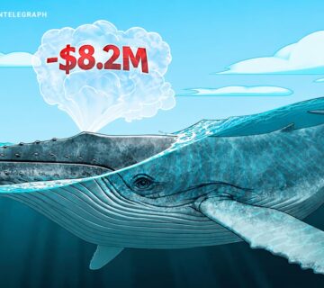 019c9906 d70b 7e86 be75 9d160c34622e 360x320