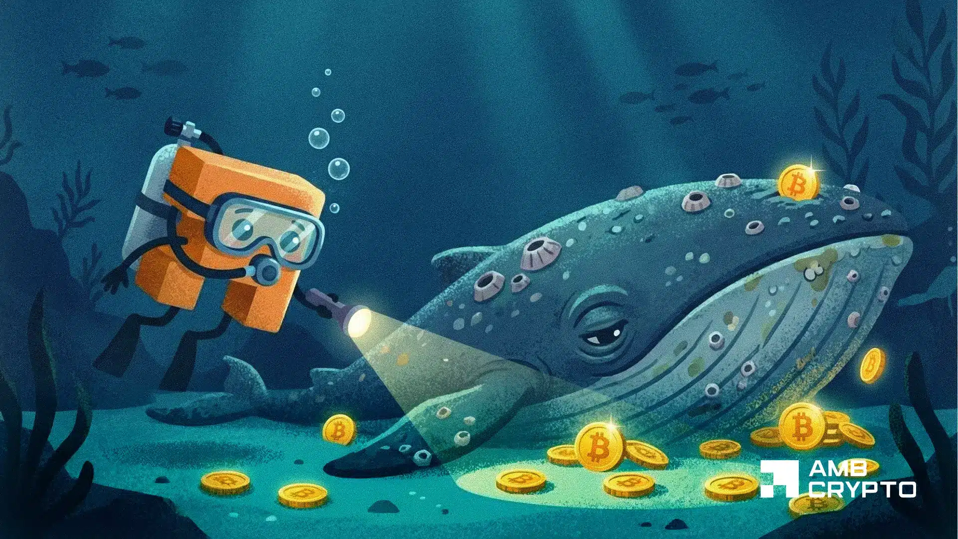 Oldest Satoshi era Bitcoin wallet buys 2B in BTC What does it know 