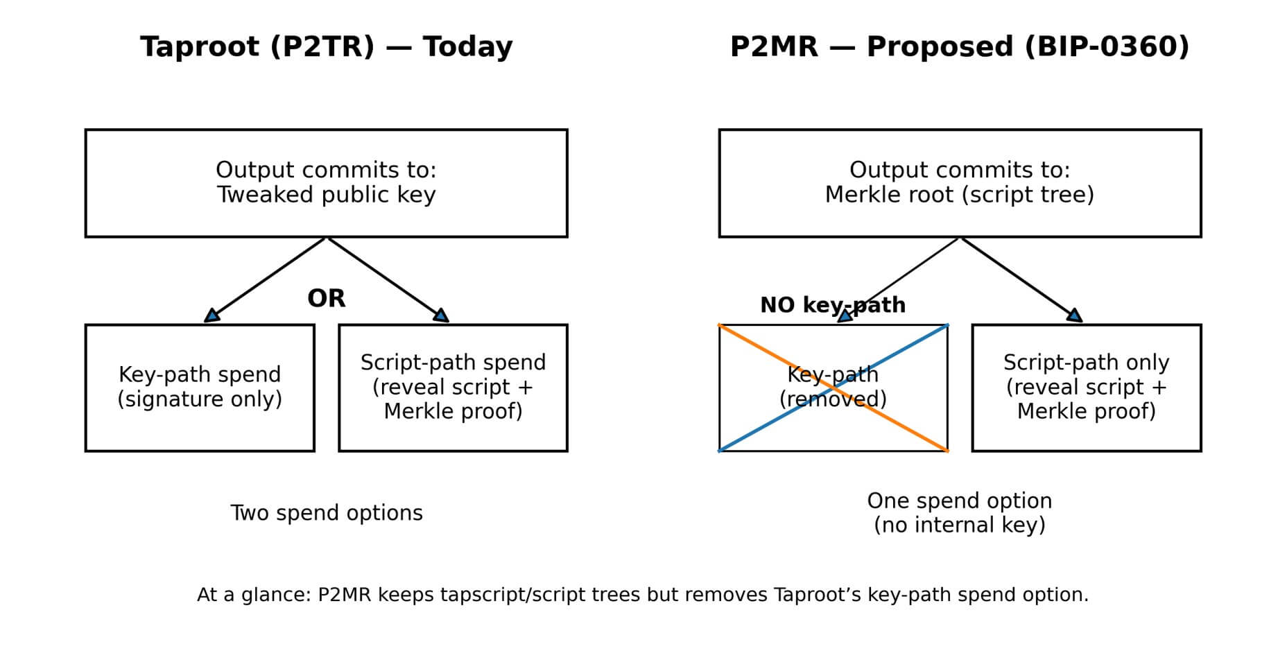 Differences of current Taproot and P2MR
