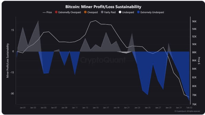 Bitcoin Miner Profit and Loss Sustainability