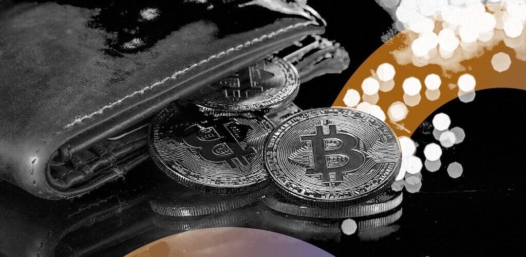 Bitcoin decrypt style wallet gID 7 1024x500