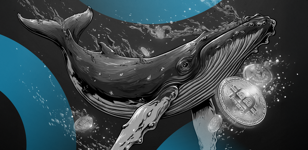 Bitcoin whale decrypt style 03 gID 7 1024x500