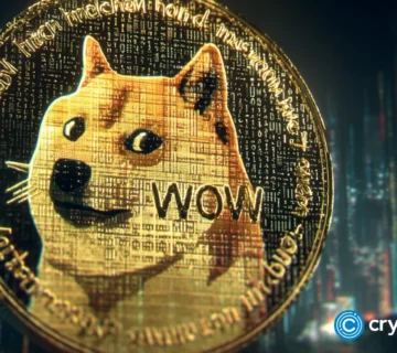 Crypto news DOGE dogecoin option05 360x320