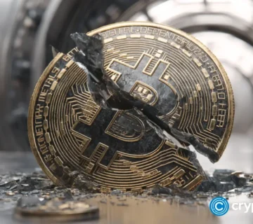 Crypto news The best Bitcoin treasury companies will evolve into outliers option04 360x320