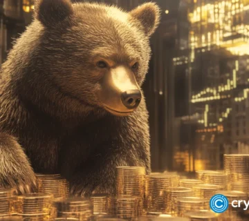 Crypto news bear market option05 2 360x320