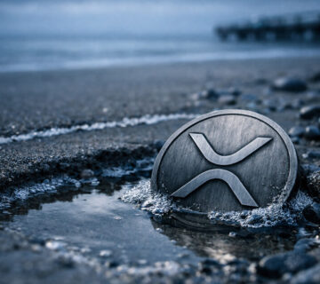 Xrp dipped 2 360x320