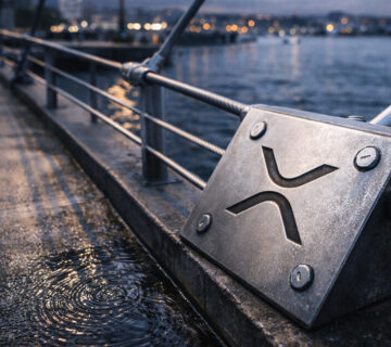 Xrp network  360x320