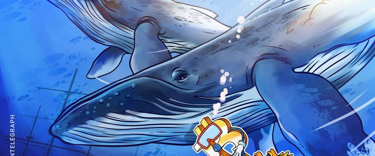 019b22c8 94f4 781a b598 464148248499 1200x500