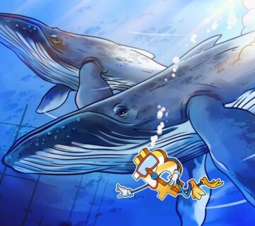 019b22c8 94f4 781a b598 464148248499 360x320