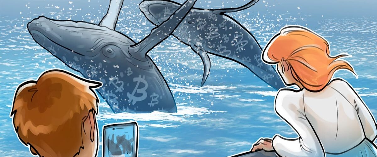 019b6968 6e16 787f 8170 f83cfe3f8631 1200x500