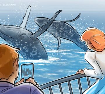 019b6968 6e16 787f 8170 f83cfe3f8631 360x320