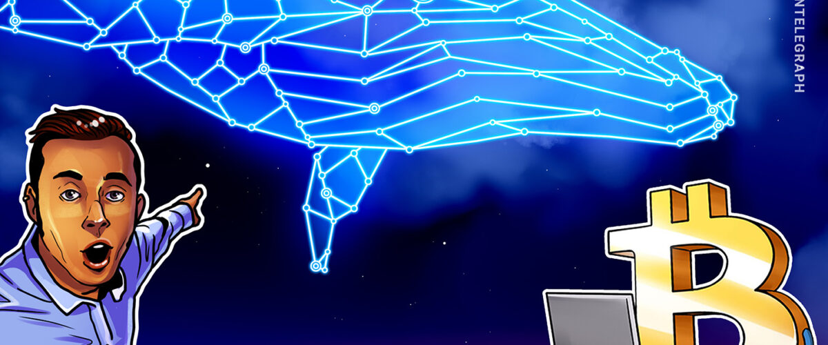 019b6f36 84dd 7186 9142 41b293259bad 1200x500