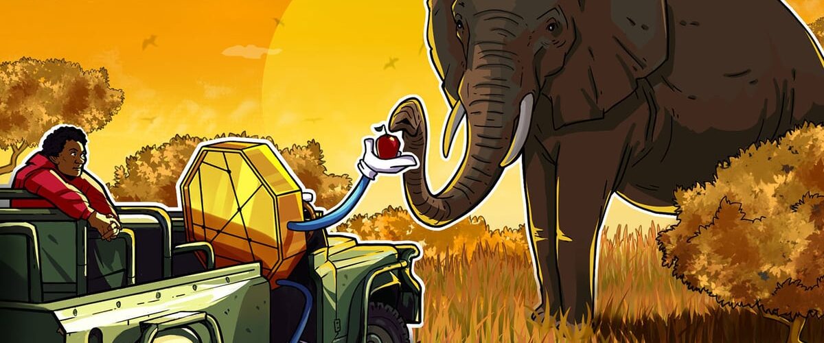 019cb348 5f1c 7ed3 af02 48fa78eb2cd3 1200x500