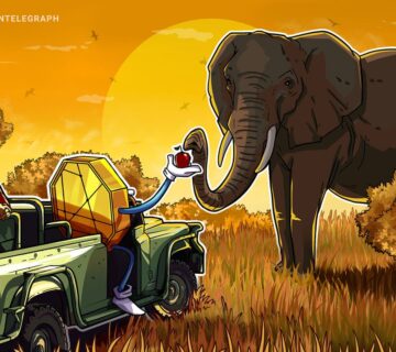 019cb348 5f1c 7ed3 af02 48fa78eb2cd3 360x320