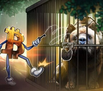 019cbdeb edf4 7cb2 89a1 d1ad23f97bdd 360x320