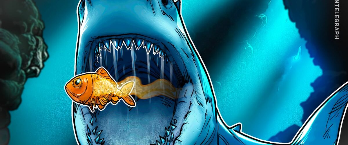 019d19e9 958b 759f be94 55b73fc57b5a 1200x500