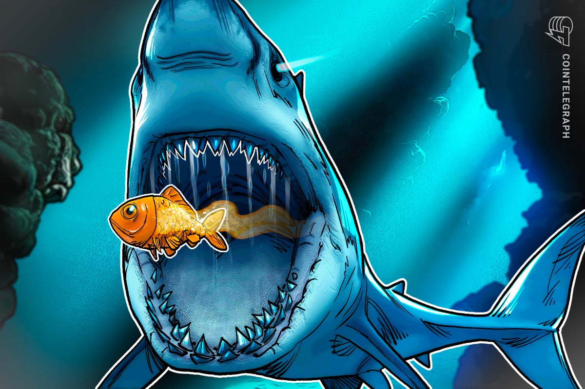 019d19e9 958b 759f be94 55b73fc57b5a