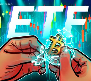 019d316d 4f06 7dc5 9711 414493abbd0f 360x320