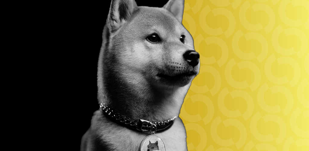 Doge4 gID 7 1024x500