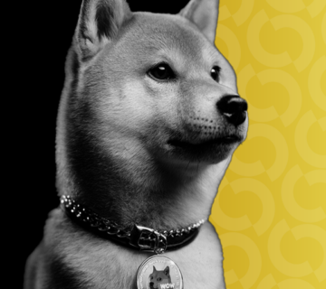 Doge4 gID 7 360x320