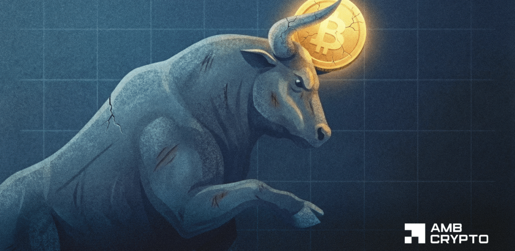 FI PAPP BTC 19 03 2026 1024x576 1024x500