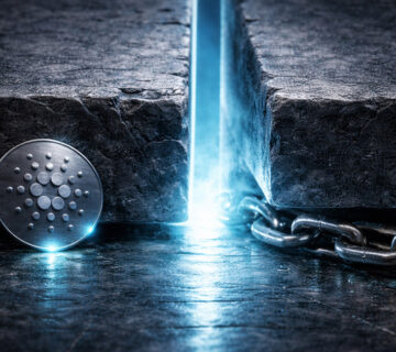 Cardano chain 1 360x320