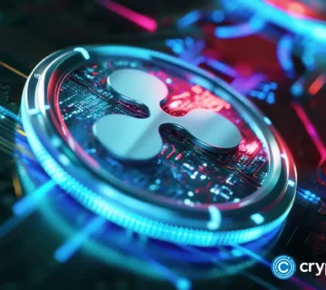 Crypto news XRP Ripple option01 360x320