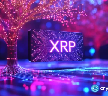 Crypto news XRP option07 1 360x320