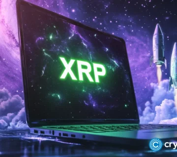 Crypto news XRP option09 360x320