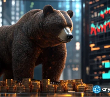 Crypto news bear market option07 6 360x320