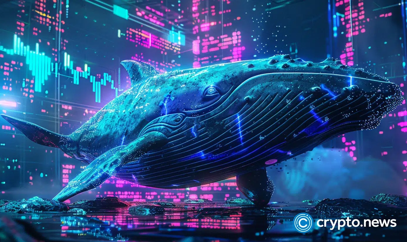 Crypto news whale option02