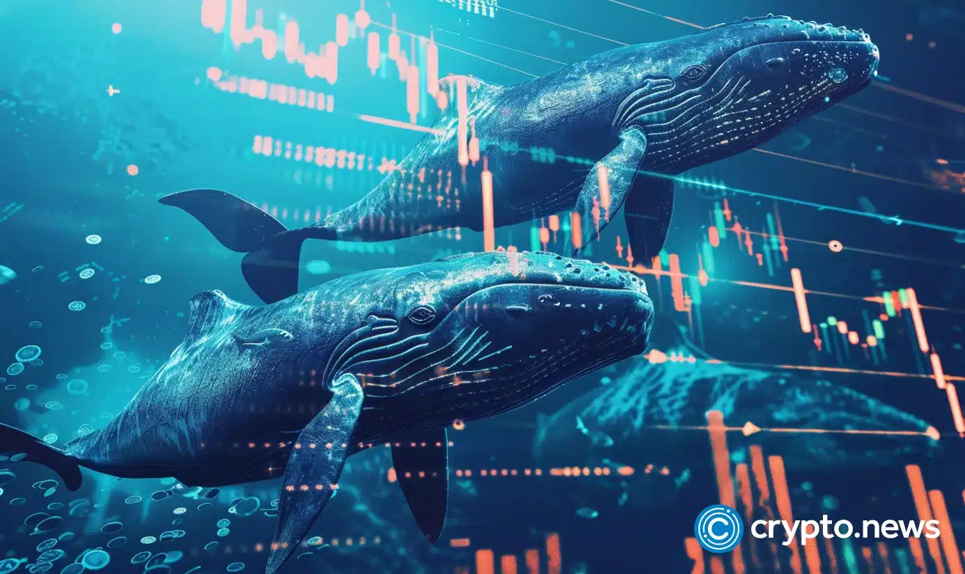 Crypto news whale option03