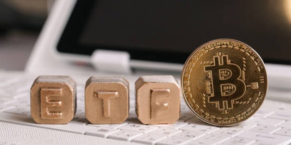 Istockphoto 1325211754 612x612 1 1000x500