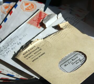 Sue hughes toQNPpuDuwI unsplash 360x320