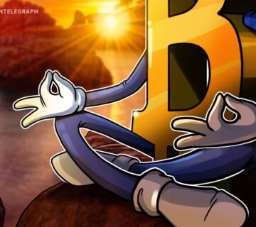 019b1c67 e86c 7234 ae1a cad4bae9e0a3 360x320