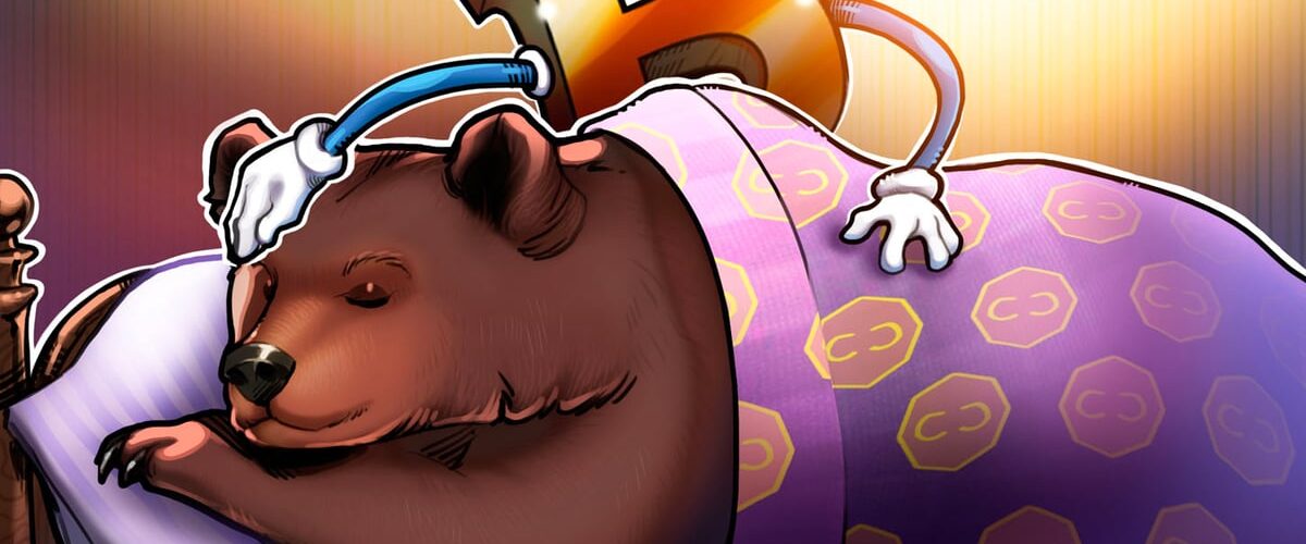 019b4705 0a88 76a8 8bcb 6d00281986ed 1200x500