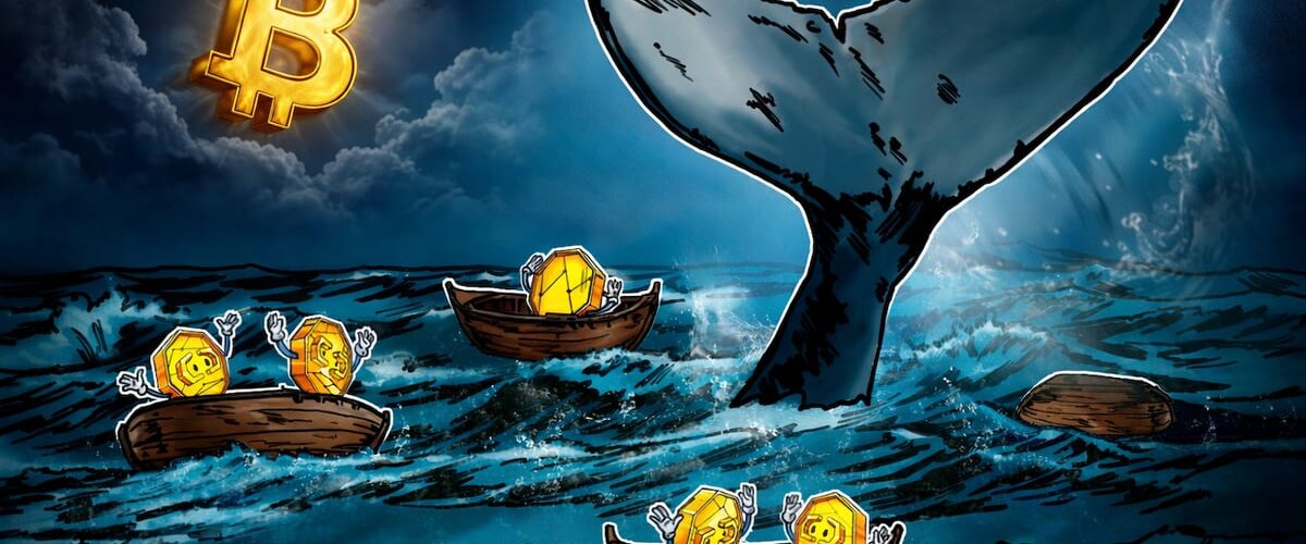 019d531e 78ac 7cb9 810e 36e5c571db22 1200x500