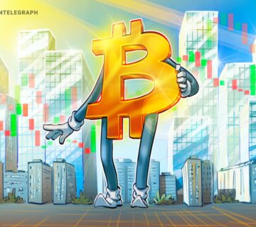 019db4ed e884 778c a3f2 8b0aea9d47a8 360x320